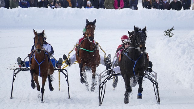 灯到商店的 灯到商店的