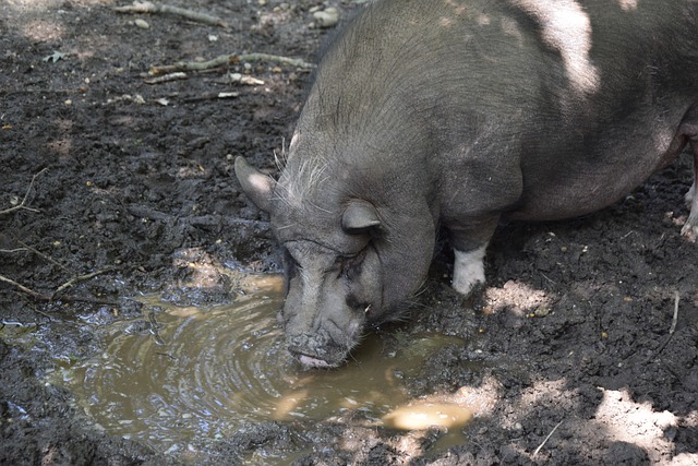 造決定性的 造決定性的