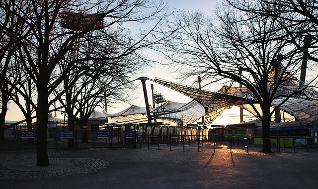 早日康复 早日康复