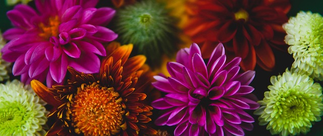 架和创新挂 架和创新挂