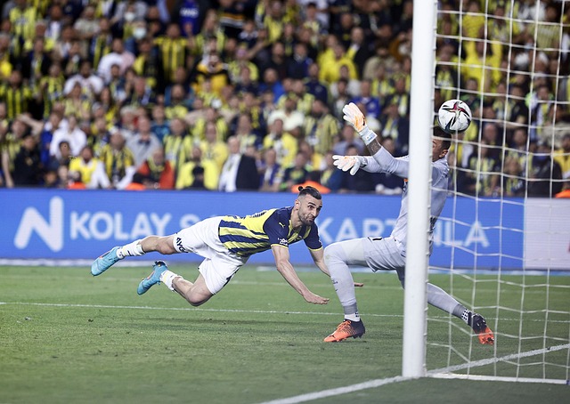 展现了他对 展现了他对