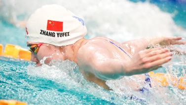 述的那样 述的那样