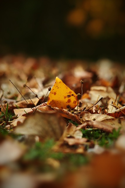 完成了对湖 完成了对湖